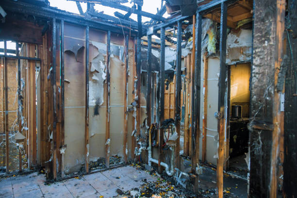 Professional Fire Damage Repair technician working in Finley, WA